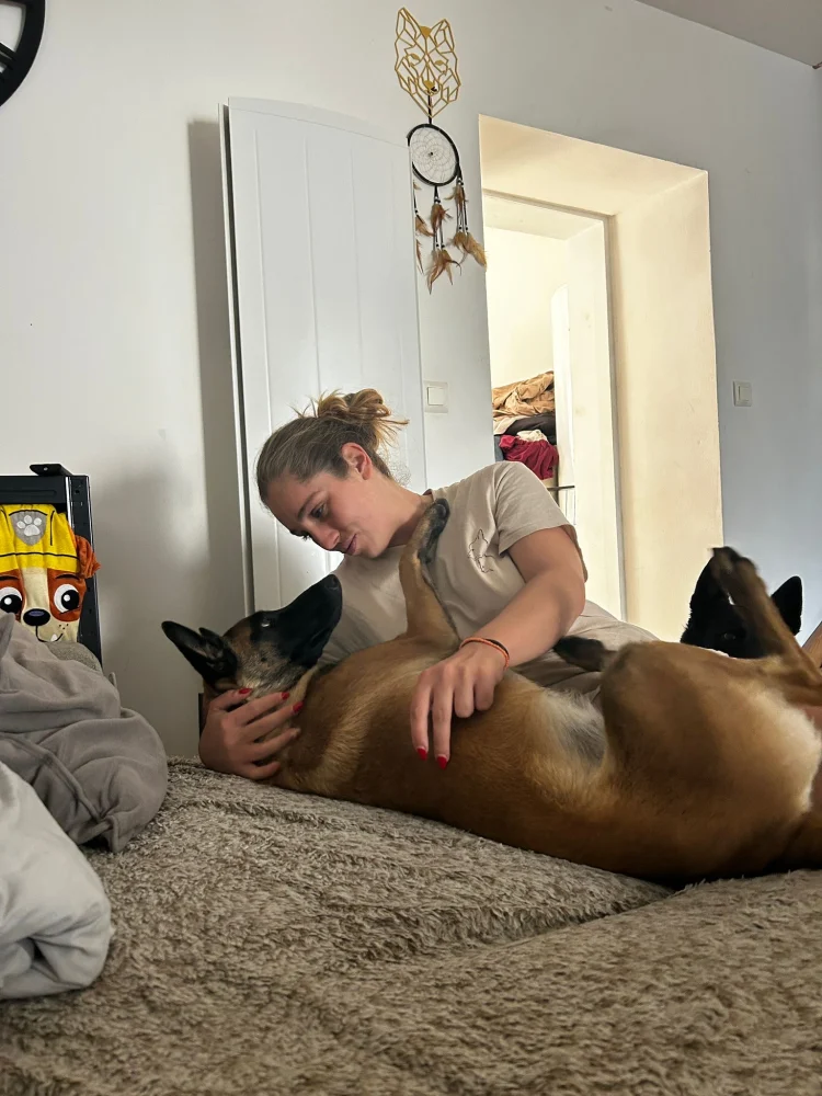 Moment calme avec un chien