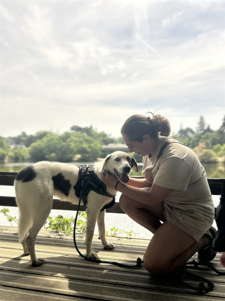 Moment complice entre la gardienne Noopy & Co et un chien en balade